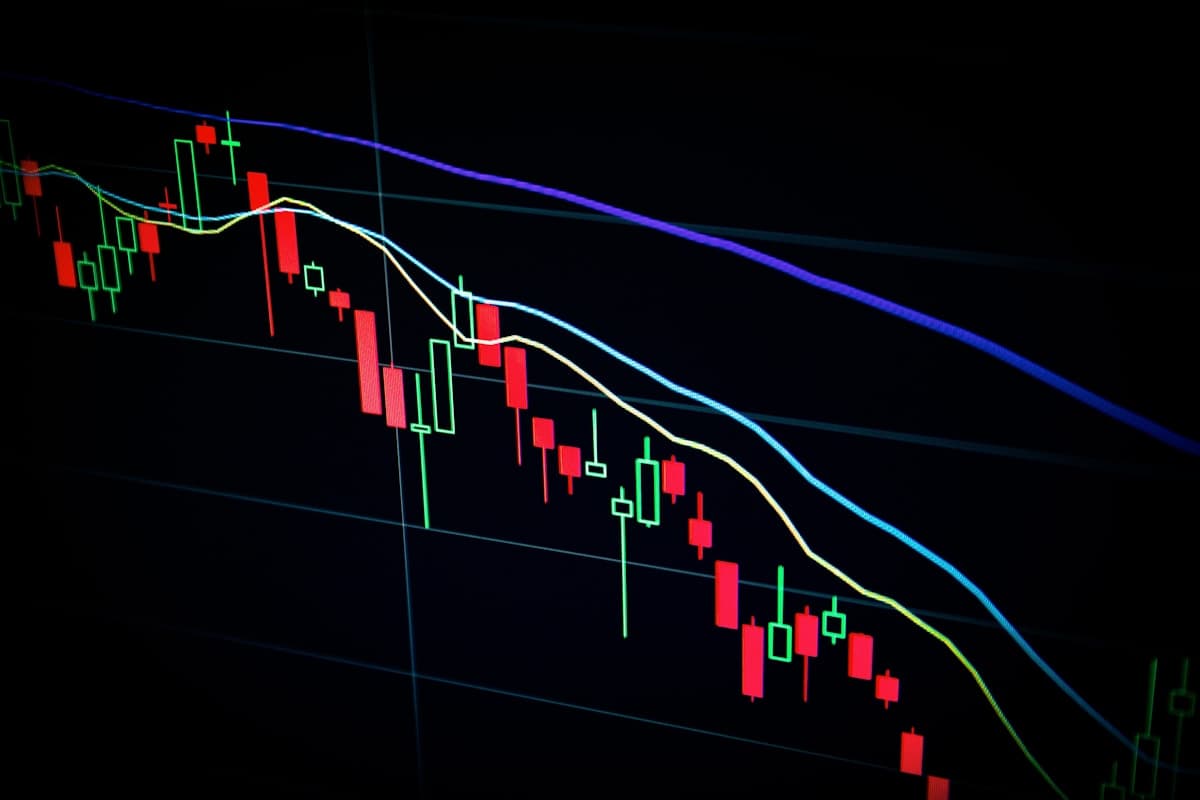 Investicijų grąža — svetainė kaip verslo įrankis